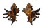 MURICIDAE CHICOREUS CORNUCERVI shell