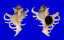 MURICIDAE CHICOREUS CORNUCERVI shell