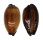 CYPRAEIDAE TALPARIA TALPA shell