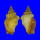 STROMBIDAE CANARIUM RADIANS shell