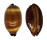 CYPRAEIDAE TALPARIA TALPA shell