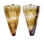 CONIDAE CONUS DISTANS CHINOI shell