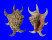 STROMBIDAE LAMBIS CHIRAGRA shell