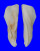 ARCIDAE TRISIDOS TORTUOSA shell