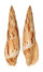 MITRIDAE MITRA INCOMPTA shell