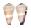 CONIDAE CONUS FLAVIDUS shell