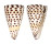 CONIDAE CONUS LITTERATUS shell