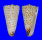 CONIDAE CONUS THALASSIARCHUS shell
