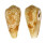 CONIDAE CONUS OMARIA VIPERINUS shell