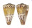 CONIDAE CONUS MUSTELINUS shell