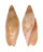 VOLUTIDAE NOTOPEPLUM SERICATUM shell
