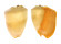 VOLUTIDAE MELO BRODERIPII shell