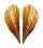 PINNIDAE PINNA aff. MURICATA shell