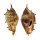 STROMBIDAE LAMBIS LAMBIS shell