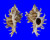 MURICIDAE CHICOREUS CNISSODUS shell