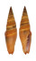 MITRIDAE VEXILLUM COCCINEA shell