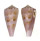 CONIDAE CONUS KINOSHITAI TAMIKOAE shell