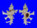 MURICIDAE HOMALOCANTHA ZAMBOI shell