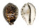 CYPRAEIDAE CYPRAEA TIGRIS IONTHODES shell