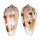 CONIDAE CONUS CHUSAKI shell
