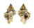 MURICIDAE OCENEBRA INERMICOSTA shell