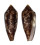 CONIDAE CONUS AUREUS shell