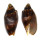 VOLUTIDAE CYMBIOLA VESPERTILIO shell