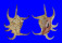 STROMBIDAE LAMBIS CHIRAGRA shell