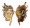 STROMBIDAE LAMBIS MILLEPEDA shell