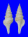 TURRIDAE GEMMULA UNEDO shell