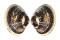 VENERIDAE MERETRIX PETECHIALIS shell