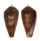 CONIDAE CONUS BARBIERI shell