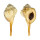 RANELLIDAE CYMATIUM ENCAUSTICUM shell