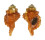 RANELLIDAE RANULARIA PYRUM shell
