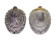 NERITIDAE SEPTARIA  PORCELLANA shell
