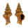 FASCIOLARIIDAE LATIRUS RECURVIROSTRATUM shell
