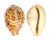 CYPRAEIDAE CYPRAEA TIGRIS shell