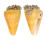 CONIDAE CONUS QUERCINUS shell
