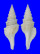 TURRIDAE GEMMULA UNEDO shell