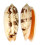 OLIVIDAE OLIVA MINIACEA SATURATA shell