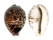 CYPRAEIDAE CYPRAEA TIGRIS IONTHODES shell