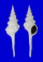 FASCIOLARIIDAE FUSINUS LONGISSIMUS shell