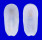 FISSURELLIDAE SCUTUS SINENSIS shell