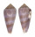CONIDAE CONUS KINOSHITAI CALLIGINOSUS shell