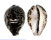 CYPRAEIDAE CYPRAEA TIGRIS shell
