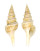 TURRIDAE GEMMULA UNEDO shell