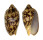 VOLUTIDAE CYMBIOLA VESPERTILIO shell