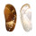 HALIOTIDAE HALIOTIS ASININA shell