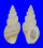 TURRIDAE BAILYA PARVA shell