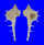 MURICIDAE HAUSTELLUM ANNIAE shell